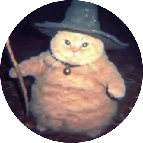 Wizard Cat Analytics: Price Dynamics, Quarterly Returns, and Annual ...