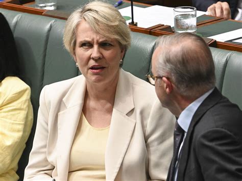 anthony albanese  tanya pliberseks rift explained  labor