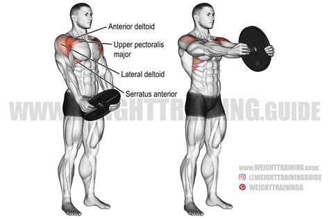 Plate front raise exercise instructions and video | Weight Training Guide