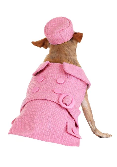 Legally Blonde 2 Bruiser Costume for Pets | Movie Costumes