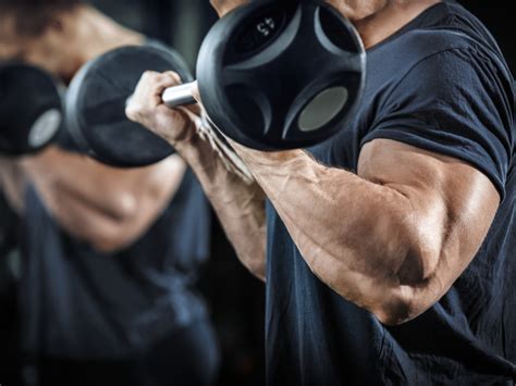 Get bigger biceps - Maximise your results - Bodybuilding Gold