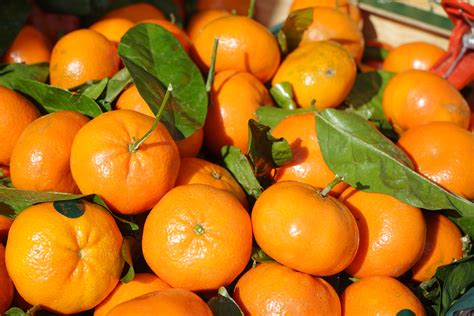 Fotos gratis : Produce, vegetal, jugoso, híbrido, Mandarina, mandarín ...