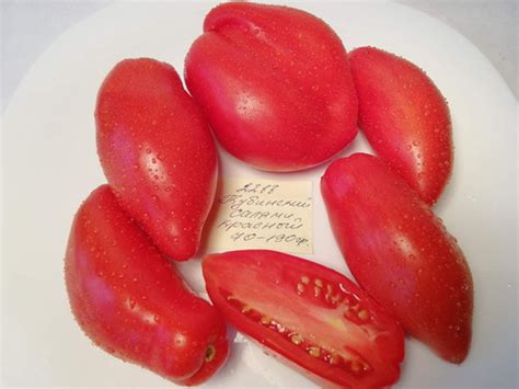 2288- Cuban salami red / Кубинский салями красный | Tomatoeden
