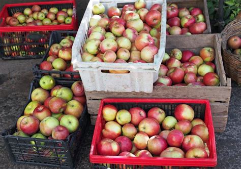 Several Apples Folded By A Slide Stock Image - Image of food, apple ...