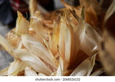 corn husk corn plant waste stock photo  shutterstock