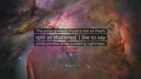 Elyn Saks Quote: “The schizophrenic mind is not so much split as