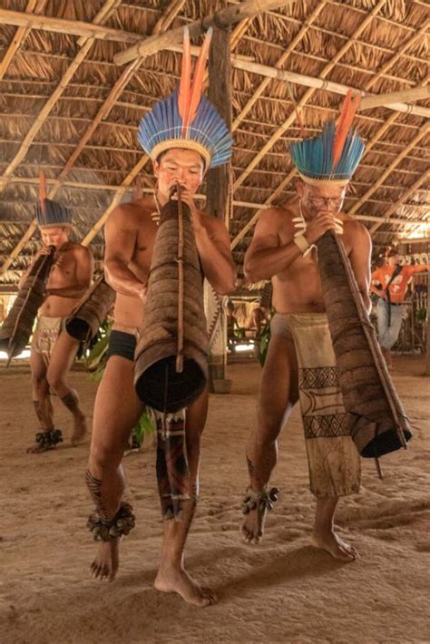 35 Incredible Amazon Rainforest Facts • I Heart Brazil