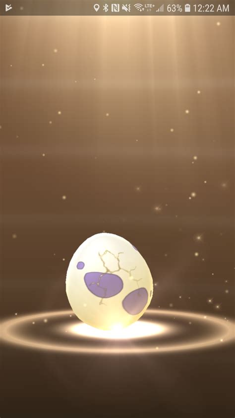 Pokemon Egg Hatching