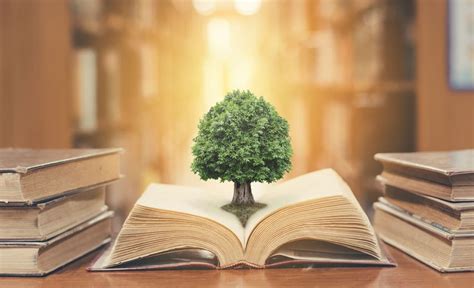 chamunda swami ji spiritual healing center  york