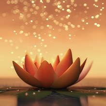Home | The Root Cause Wellness