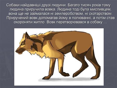 Собаки найдавніші друзі людини - презентация онлайн