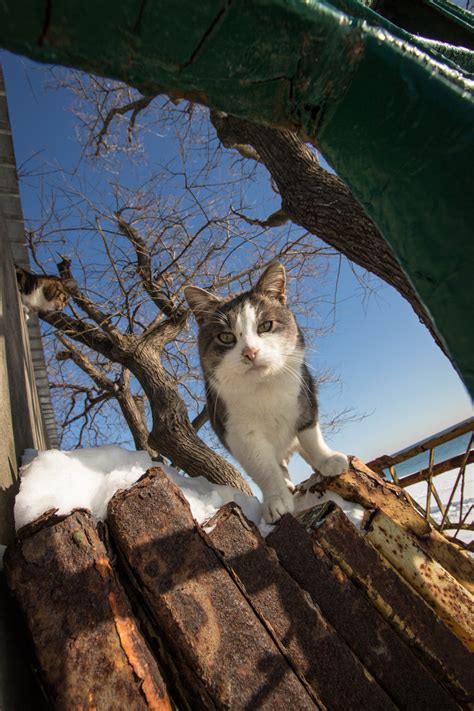 Фотоконкурс 'Моє місто у фотографіях' - Одеса