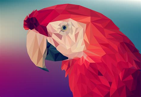 poly parrot abstract faceted polygon wallpaper  manuchi
