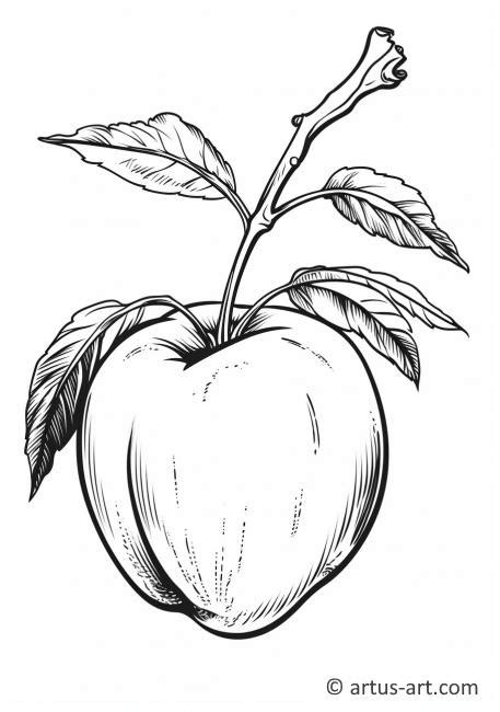 Nectarine Coloring Contest Coloring Page » Free Download » Artus Art