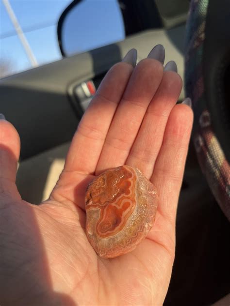 Surprise Find in Mississippi! : r/Rocks