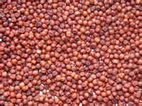 Buckwheat In Malayalam - Infinity Foods Organic Buckwheat Groats 500g ...