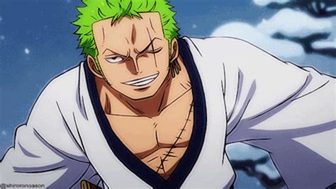 Roronoa Zoro Wano Gif - gif