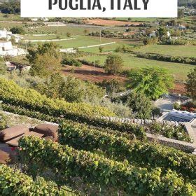 Where to Go Wine Tasting in Puglia, Italy - Savored Journeys