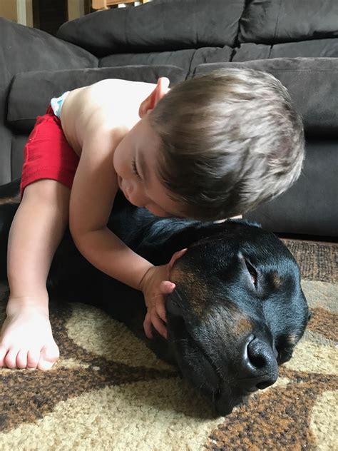 Rottweilers are babies best friends : r/daddit