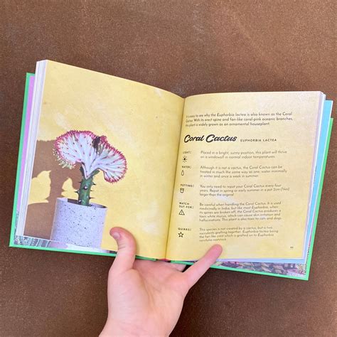 The Complete Book Of Cacti Succulents American Hor 5