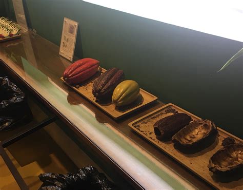 Zotter Chocolate Factory Shanghai - All You Need to Know BEFORE You Go