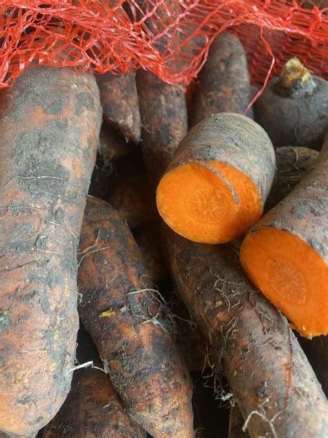 Продам Морква в сітках: 43 грн. - Продукти харчування / напої Львів на Olx