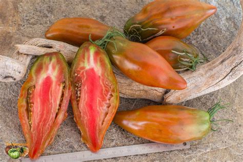 Cuban Pepper Like - Кубинский Перцевидный Черный - Kubinskyi ...