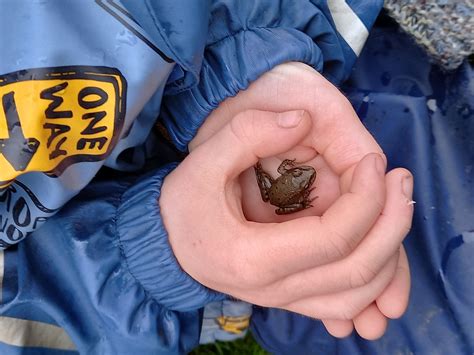 Nature Tots - Spring! | Rye Harbour Nature Reserve