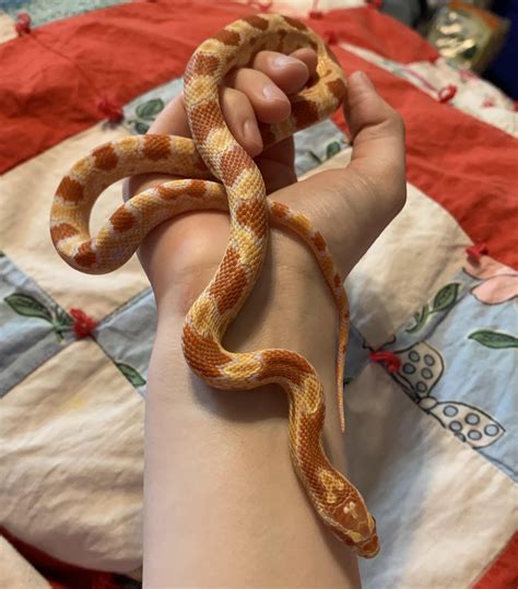 for any new comers, here she is, at her best. : r/bebahan