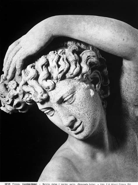 Il mito di Narciso: riassunto | Studenti.it