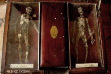 Thomas Theodore Merrylin the vampire hunter, and his creatures | KD's ...