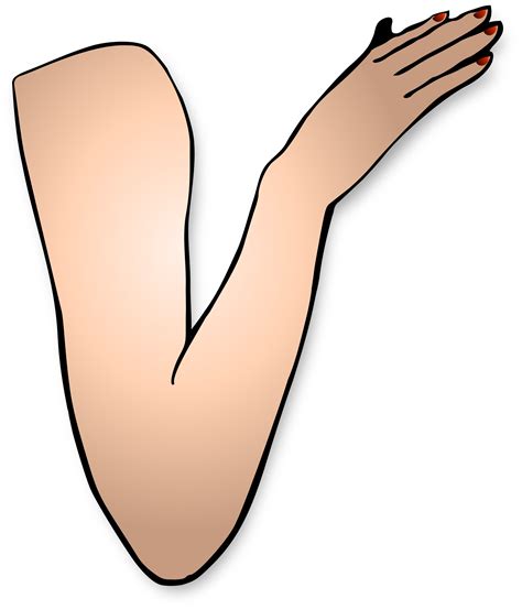 Arm picture