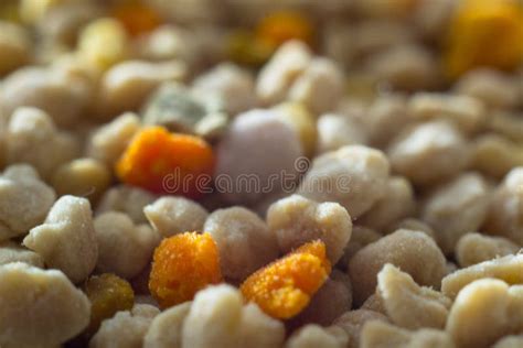 Macro Photo of Pollen Grains Stock Photo - Image of extreme, grain ...