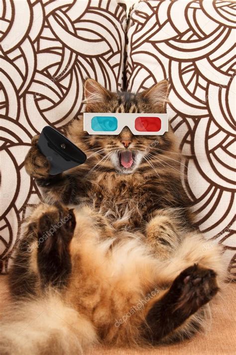 Cat with a remote control — Stock Photo © funny_cats #82165752