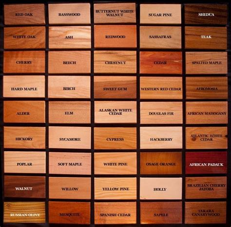 Wood (colors) in The World of the Eternals | World Anvil