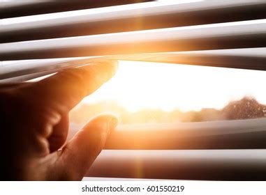 71,616 Vision sun Images, Stock Photos & Vectors | Shutterstock