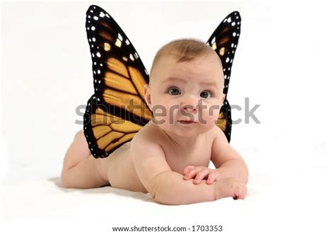 Baby Butterfly Wings Against White Backdrop Stock Photo 1703353 ...