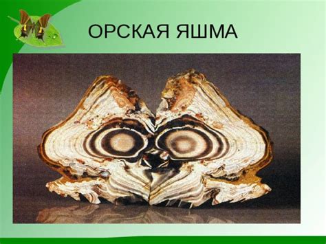 Презентация" Моя малая родина"
