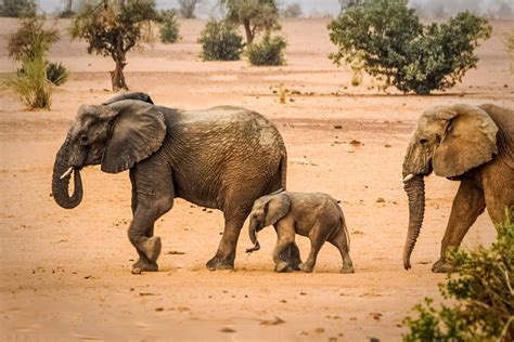Mali - A Country Profile - Destination Mali - Nations Online Project