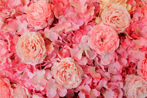 Beautiful Pattern of pink flower background. Beauty of nature and