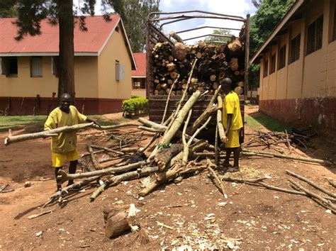 Prisons depleting forests to feed prisoners