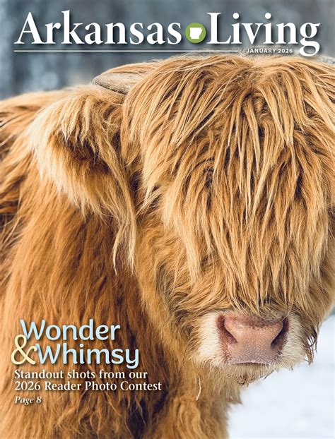 Harrison Arkansas Noon Lions