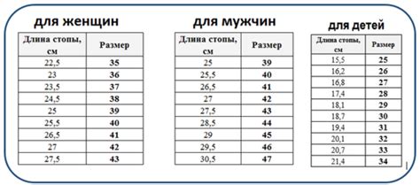 Ответы Mail.ru: 26 см это какой размер ноги?
