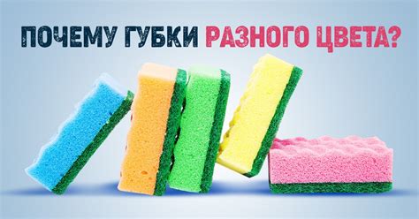 Моющая губка