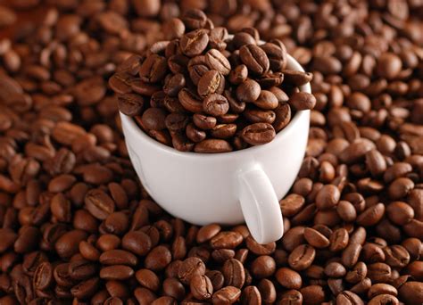 kopi robusta java