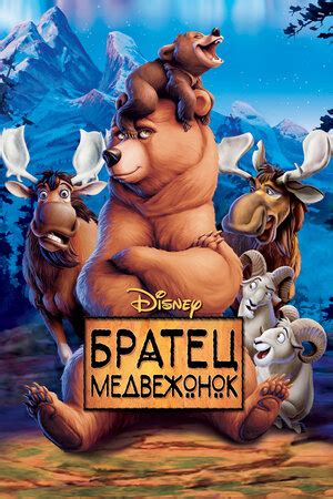 Братец медвежонок мультфильм, 2003, дата выхода трейлеры актеры отзывы ...