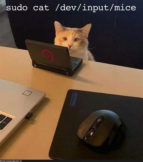 simplecommand programmerhumorio