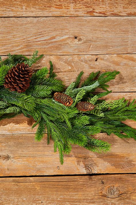24” Real Touch Norfolk Spruce Juniper Spray - Norfolk Decorations
