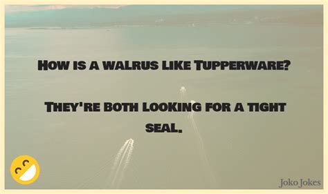 59+ Walrus Jokes And Funny Puns - JokoJokes