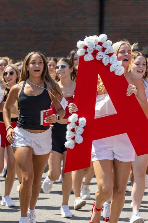 Bama Rush 2023: See the Bid Day photos of 2,335 women rushing to their ...